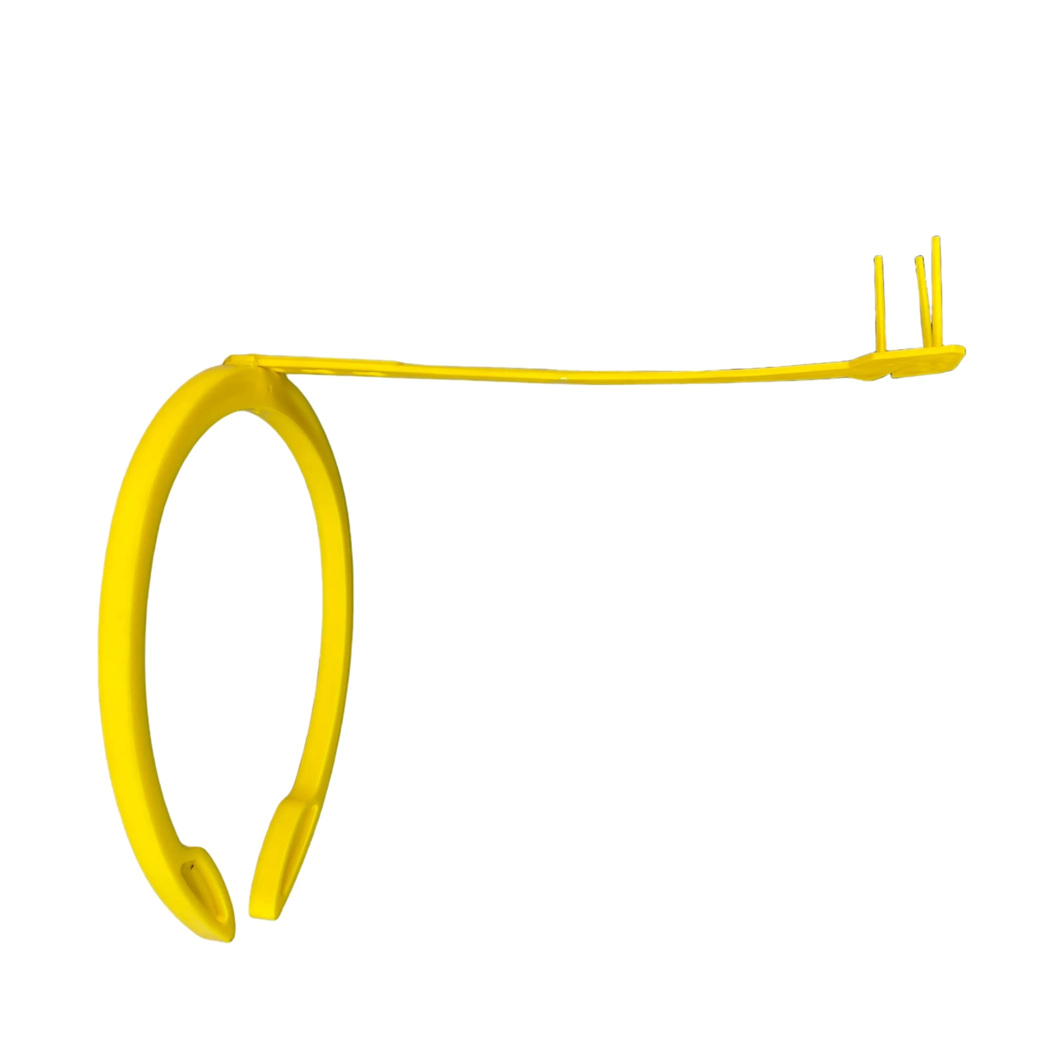 Arco de Inseminación