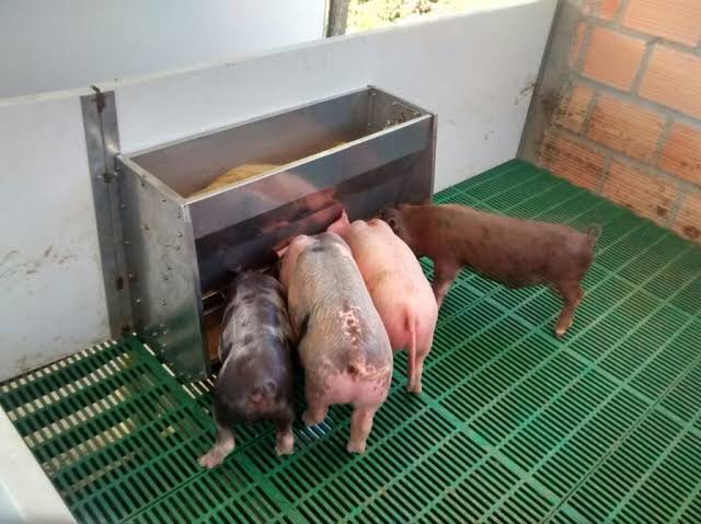 COMEDEROS